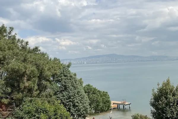 Çemişgezekli Seyyid Haydar Sami Efendi'nin Kabri Şerifi - Kutsal Yer - İstanbul Arnavutköy