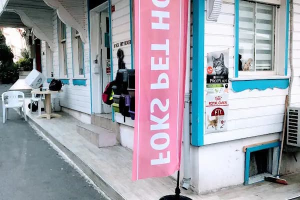 Foks Pet House - Evcil hayvan mağazası - İstanbul Bağcılar