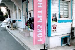 Foks Pet House
