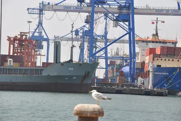 TCDD Izmir Limanı İşletmesi Müdürlüğü - Liman İşletmesi Şirketi - İzmir Konak