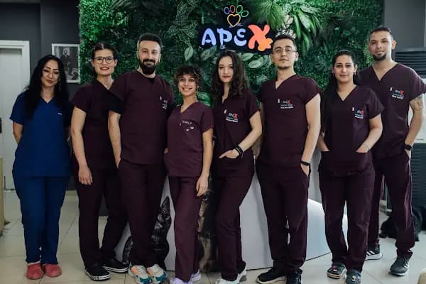 Apex Veteriner Kliniği - Veteriner - İzmir Karşıyaka