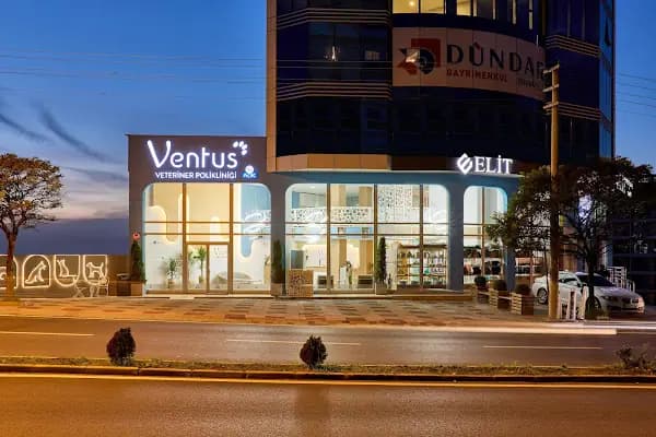 Ventus Veteriner Polikliniği - Veteriner - Kocaeli Başiskele