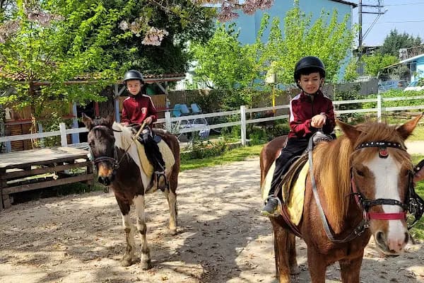 Rüzgarlı Bahçe At Çiftliği - At Binme Hizmeti - Bursa İnegöl