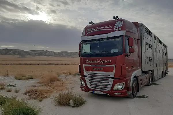 GÜVEN ZAHİRE BESİ ÇİFTLİĞİ - Büyükbaş Hayvan Çiftliği - Ankara Akyurt