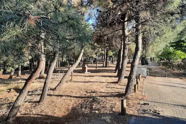 Kocaeli Büyükşehir Belediyesi Kuştepe Mesire Alanı - Piknik Alanı - Kocaeli Başiskele