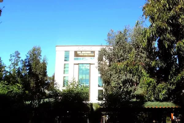 MD Clinic Sağlıklı Yaşam Merkezi - Sağlık ve Güzellik Merkezi - Mersin Yenişehir