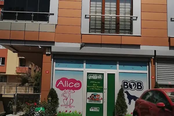 Alice Pet Shop - Evcil Hayvan Malzemeleri Mağazası - İstanbul Arnavutköy