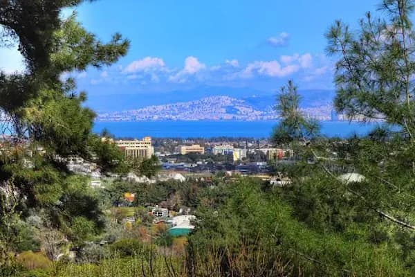 Balçova Terapi Ormanı - Ormancılık Hizmetleri - İzmir Balçova