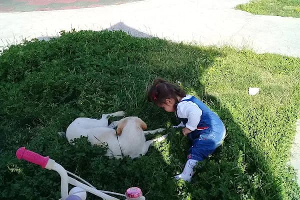 Kırlangıç Çocuk Parkı - Park - Sakarya Adapazarı