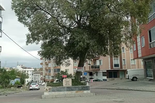 Çitlenbik (Hasan) Dede türbesi - Mezarlık - İstanbul Esenyurt