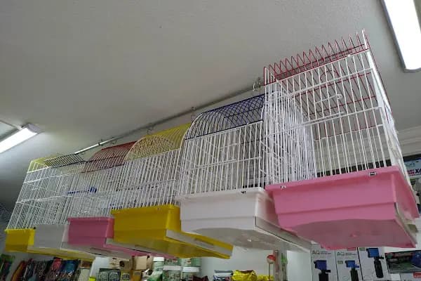 Bursa Cihan Akvaryum & Petshop - Evcil hayvan mağazası - Bursa Osmangazi
