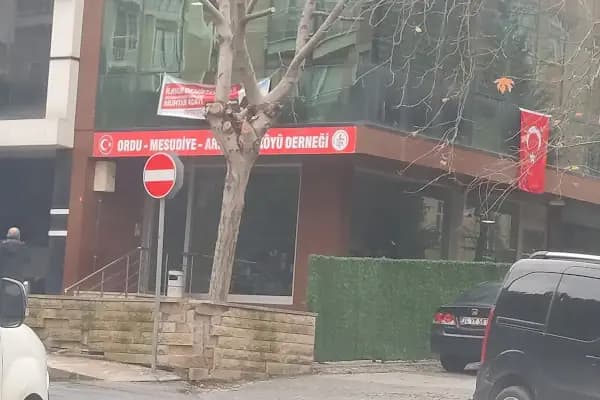 Türk Hava Yolları - Seyahat Acentesi - İstanbul Arnavutköy