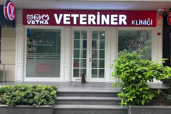 Ataköy Vetra Veteriner Kliniği - Veteriner - İstanbul Bakırköy