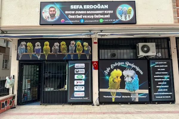 Sefa Erdoğan Show Jumbo Muhabbet Kuşu Üretimi ve Kuş Ürünleri / Sefa Erdoğan Youtube - Evcil Hayvan Malzemeleri Mağazası - Ankara Sincan