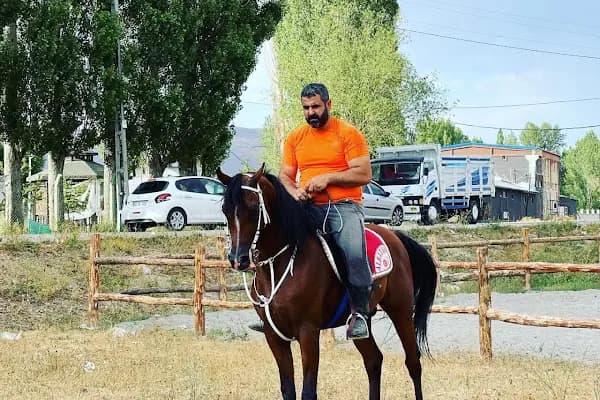 Atçılık Merkezi - At Binme Hizmeti - Kocaeli Körfez