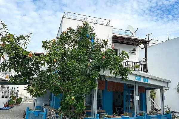 Bitez Cafe &amp; Restaurant - Bodrum Belediye A.Ş. - Kafeterya - Muğla Bodrum