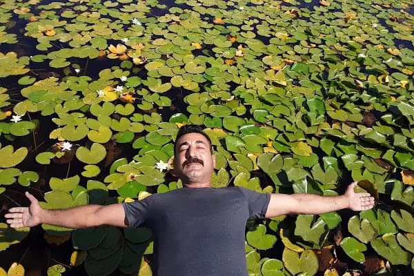 Beysehir nilufer bahcesi - Fotoğrafçı - Konya Beyşehir