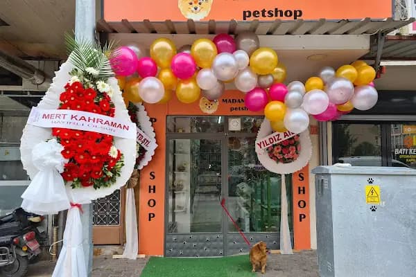 MADAM GODİ PETSHOP - Evcil hayvan mağazası - Balıkesir Ayvalık