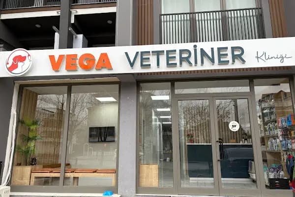 Vega Veteriner Kliniği - Veteriner - Kocaeli Kartepe
