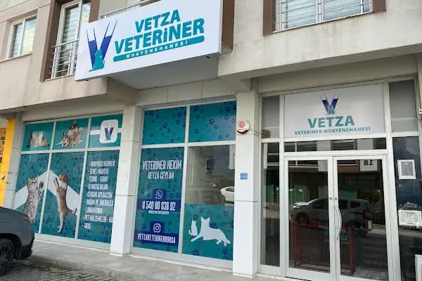 Vetza Veteriner Muayenehanesi - Veteriner - Bursa Gemlik