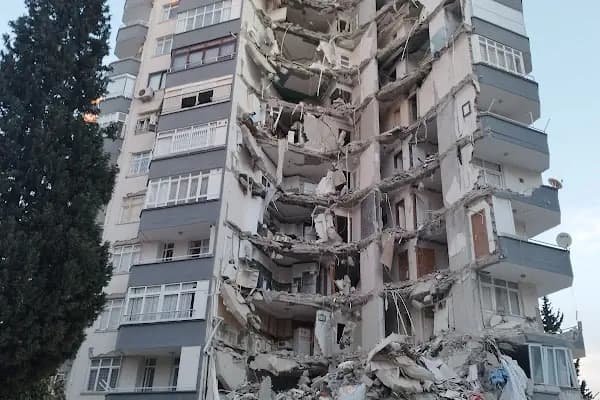 Yurt Mahallesi Muhtarlığı - Yerel Resmi Daire - Adana İmamoğlu
