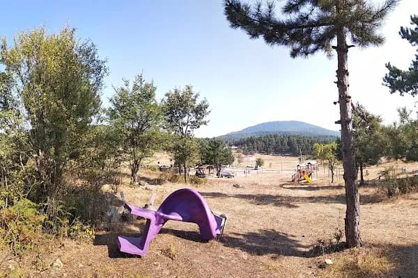 Görecik Yaylası Piknik Alanı - Piknik Alanı - Bursa Büyükorhan