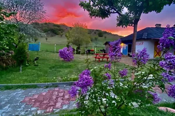 DÜŞ YOLCUSU AT ÇİFTLİGİ - Otel - Ankara Çubuk