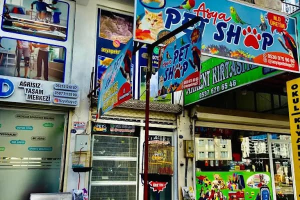 ASYA PETSHOP GAZİANTEP - Evcil hayvan mağazası - Gaziantep Şehitkamil