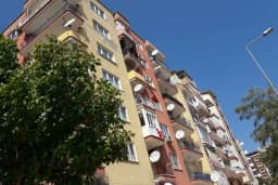 Yurtiçi Kargo Mesir