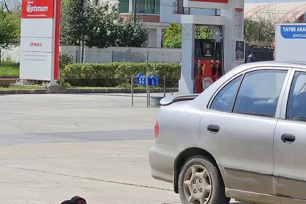 TAYBE AKARYAKIT ENERJİ VE TİC. TİC. LTD. ŞTİ - Benzin İstasyonu - Samsun 19 Mayıs