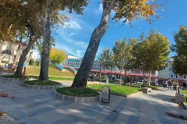 Belediye parkı - Ağaç Parkı - Sakarya Erenler