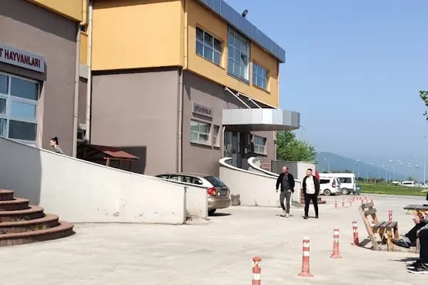 OMÜ Hayvan Hastanesi - Veteriner - Samsun Canik