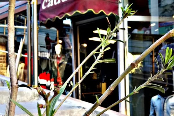 CADDE CLUP ERKEK GİYİM - Erkek Giyim Mağazası - İstanbul Ataşehir
