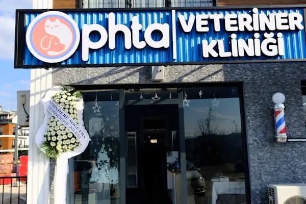 Ophta Veteriner Kliniği - Acil Durum Veterinerlik Hizmeti - Kocaeli Başiskele