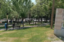 Şehir Parkı