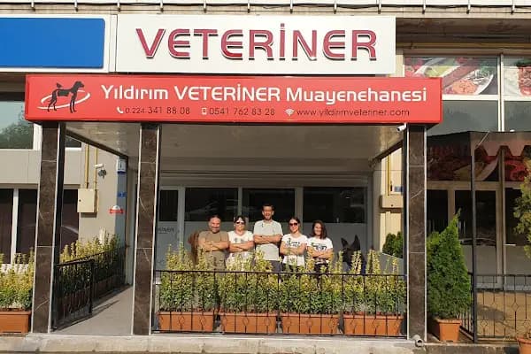 Yıldırım veteriner muayenehanesi - Veteriner - Bursa Yıldırım
