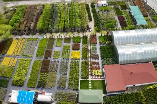 Bambu Bahçe Market - Bahçe ürünleri satış merkezi - İstanbul Arnavutköy