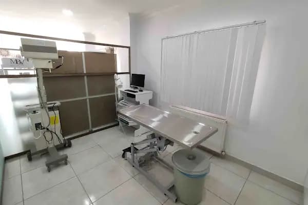 CEM VETERİNER KLİNİĞİ - Veteriner - Sakarya Adapazarı