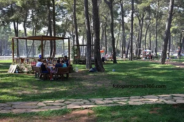 Düzler çamı - Piknik Alanı - Antalya Alanya