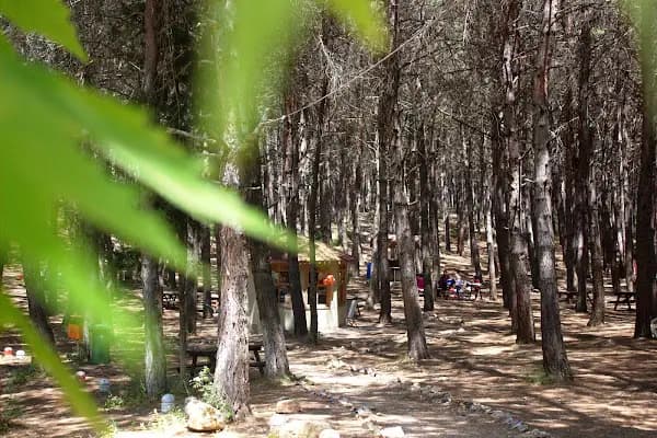 Çiftmazı Tabiat Parkı - Doğa Koruma Alanı - Osmaniye Osmaniye