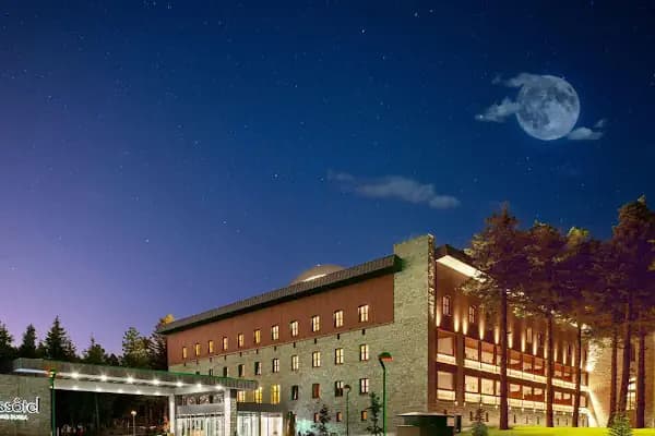 Swissotel Uludag Bursa - Otel - Bursa Osmangazi