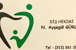 Dr. N. Ayşegül GÜRLER