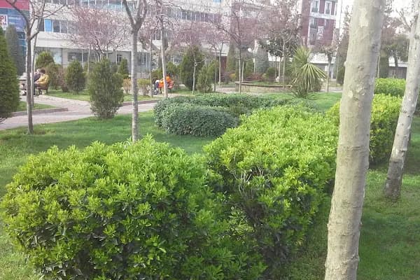 Şehit Başkomiser Ahmet Zehir Parkı - Park - İstanbul Küçükçekmece