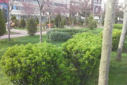 Şehit Başkomiser Ahmet Zehir Parkı