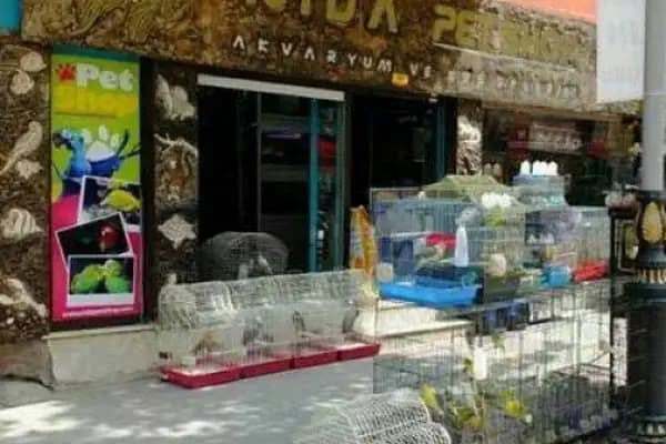 Nida Pet Shop - Evcil hayvan mağazası - Malatya Battalgazi