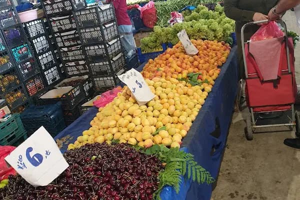 destina masaj salonu - Masaj Uzmanı - Kocaeli İzmit