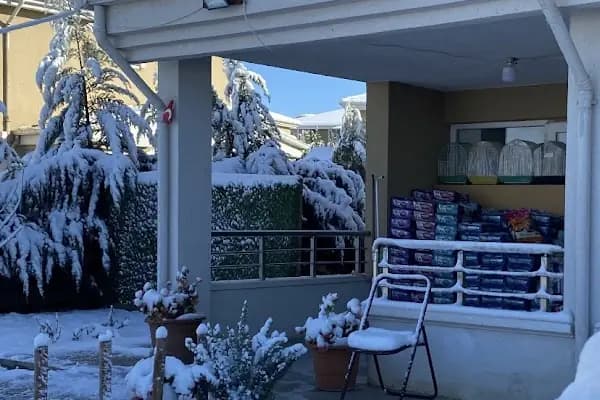 PavPati Petshop - Evcil hayvan mağazası - Ankara Sincan