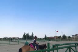 Hara Selçuk Binicilik Akademisi