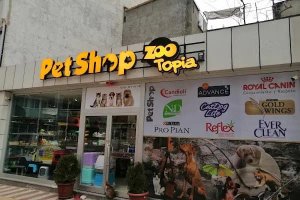 Zootopia Petshop - Evcil hayvan mağazası - Bursa İznik