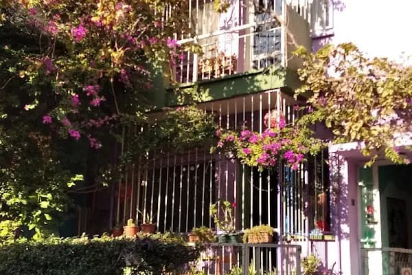 Shantihome Hostel İzmir - Hostel - İzmir Konak
